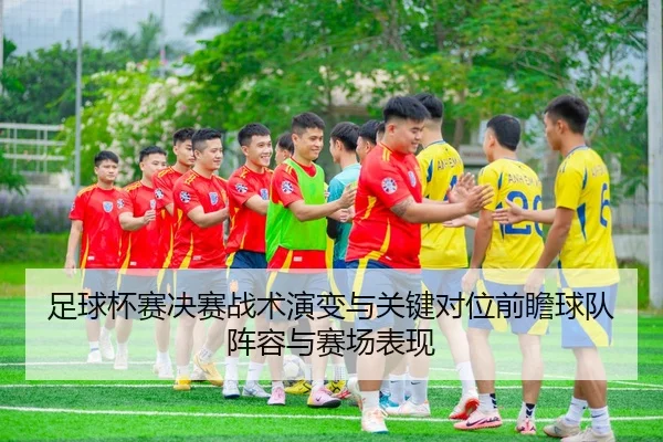 足球杯赛决赛战术演变与关键对位前瞻球队阵容与赛场表现